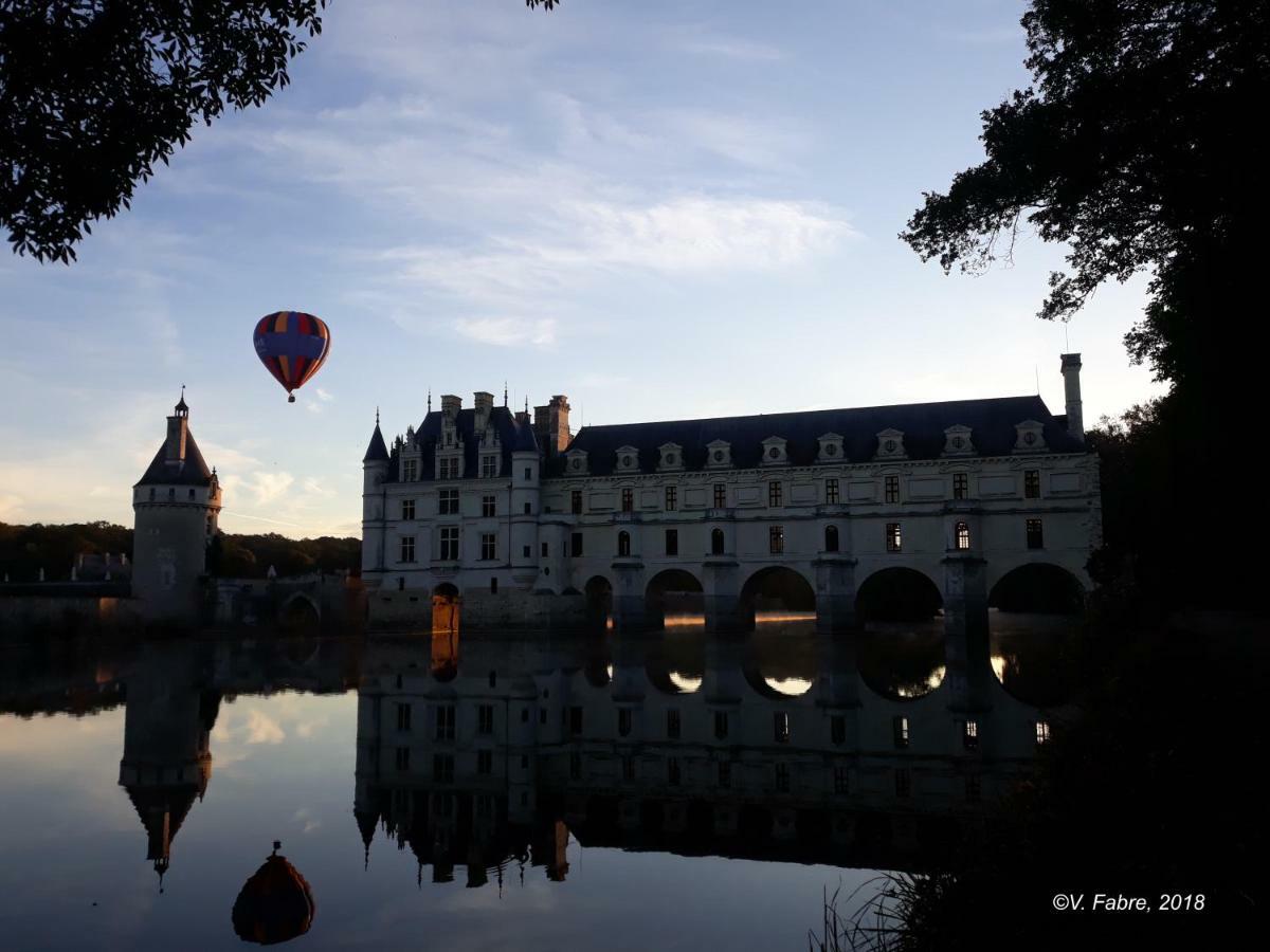 La Vigneronne En Touraine Holiday home