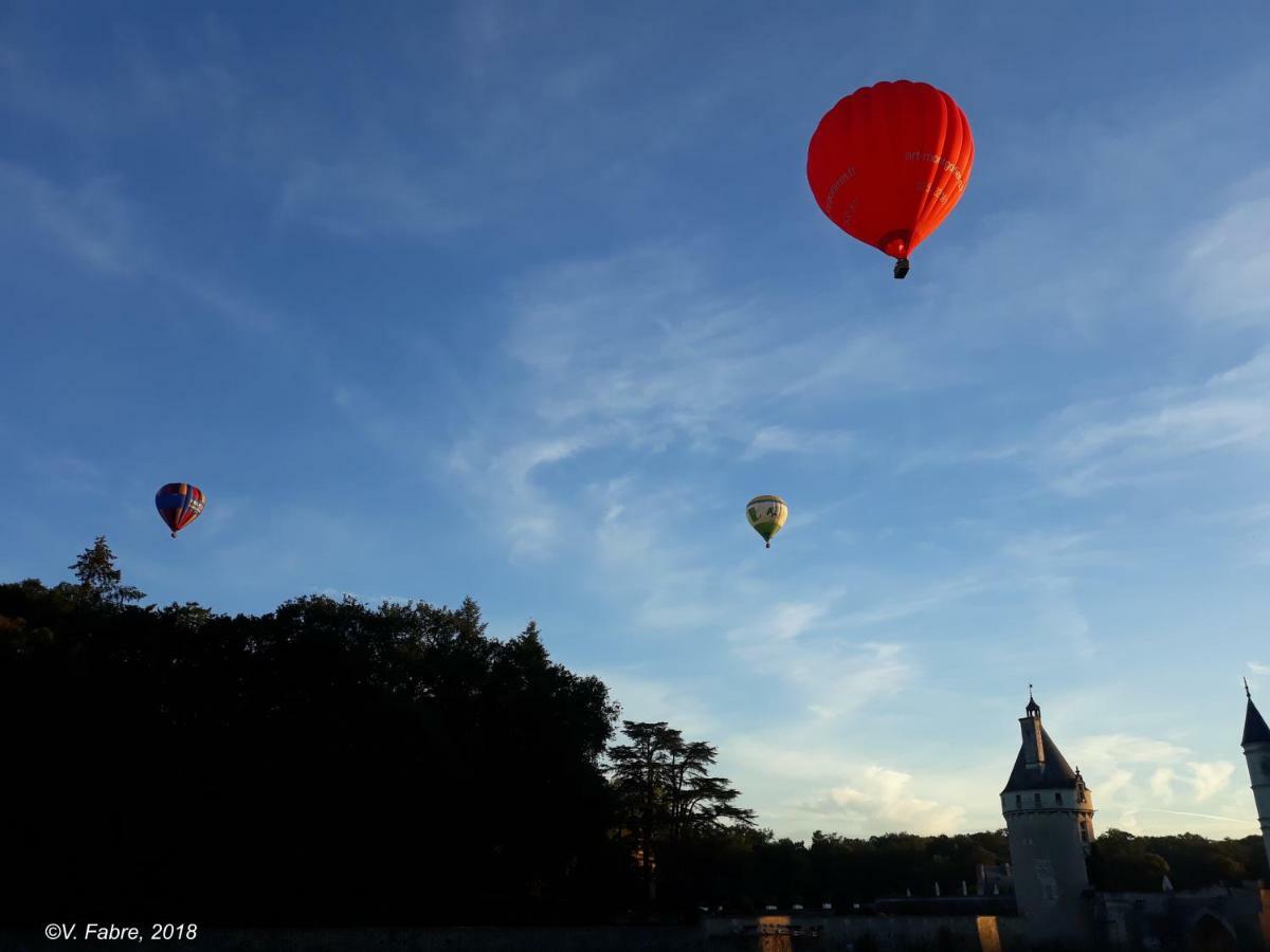 Holiday home La Vigneronne En Touraine *