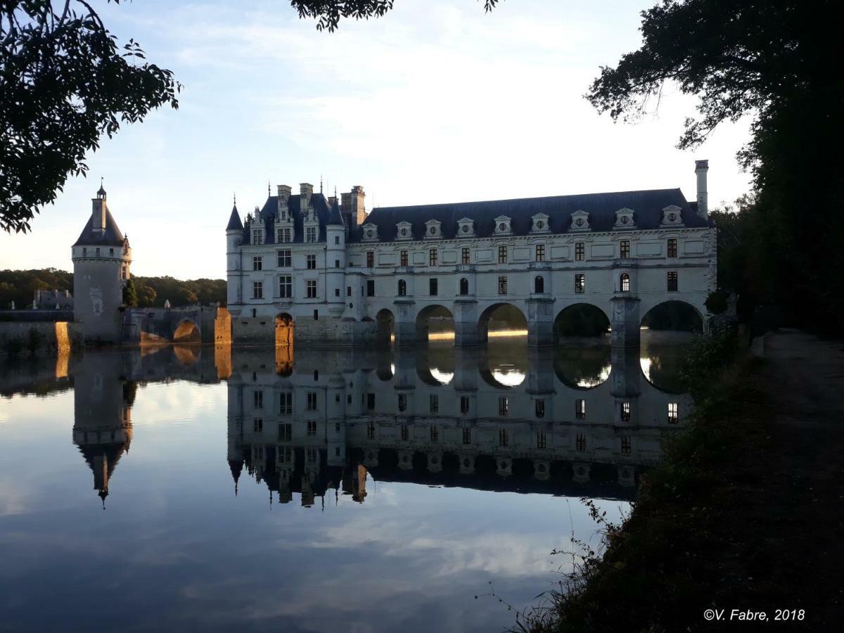 Holiday home La Vigneronne En Touraine *